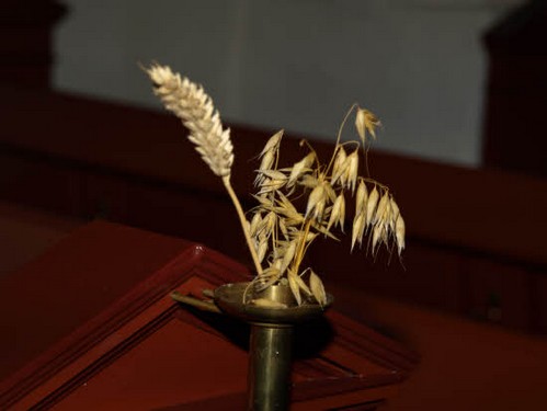 2013 Kirkegårdsvanding i Ellinge billedeserier_08.jpg