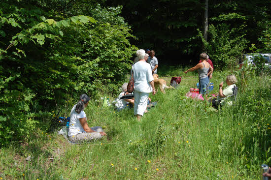 2014 Pinseskoven billedeserier_40.jpg
