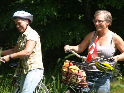 2014 Pinseskoven billedeserier_03.jpg