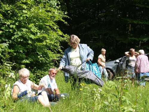 2014 Pinseskoven billedeserier_04.jpg