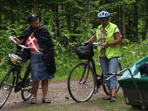 2014 Pinseskoven billedeserier_38.jpg