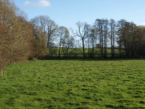 2015 Efterårstur Ellinge billedeserier_05.jpg