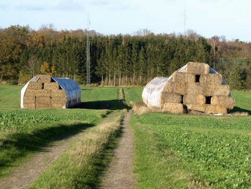 2015 Efterårstur Ellinge billedeserier_09.jpg