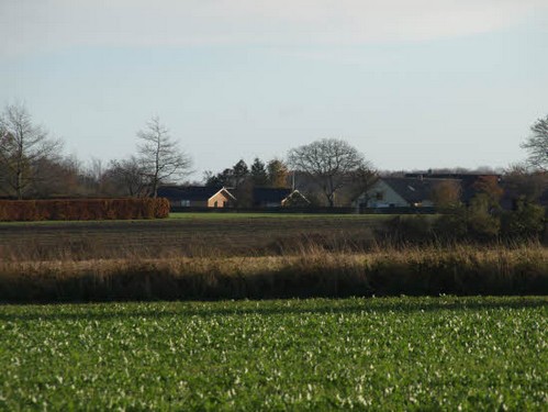2015 Efterårstur Ellinge billedeserier_25.jpg