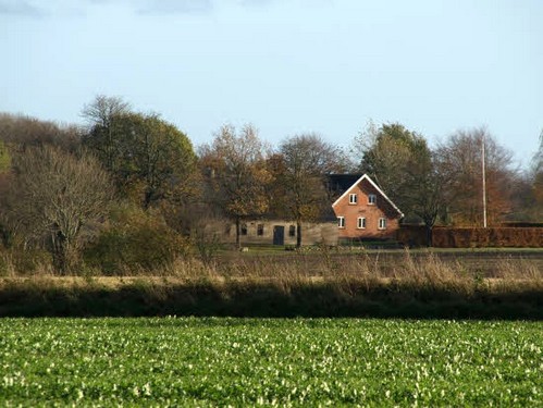 2015 Efterårstur Ellinge billedeserier_28.jpg