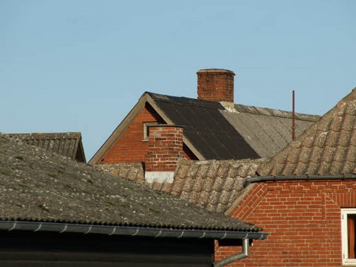 2015 Efterårstur Ellinge billedeserier_36.jpg
