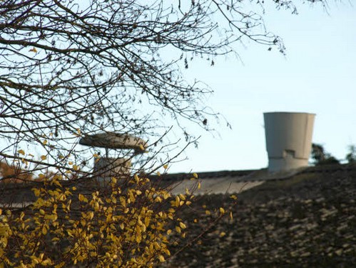 2015 Efterårstur Ellinge billedeserier_39.jpg