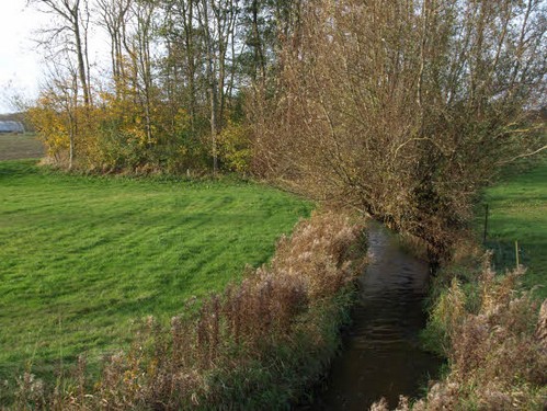2015 Efterårstur Ellinge billedeserier_52.jpg