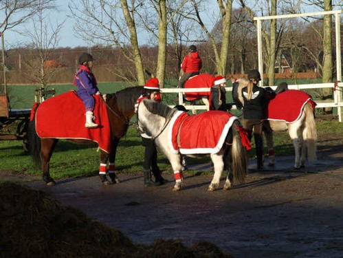 2015 Juleridning billedeserier_18.jpg