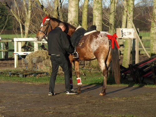 2015 Juleridning billedeserier_19.jpg