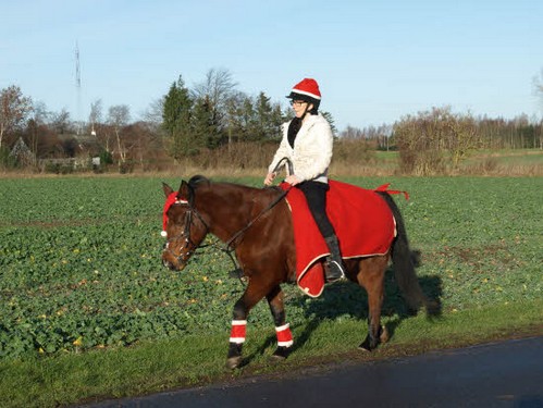 2015 Juleridning billedeserier_52.jpg