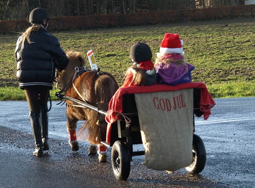 2015 Juleridning billedeserier_57.jpg