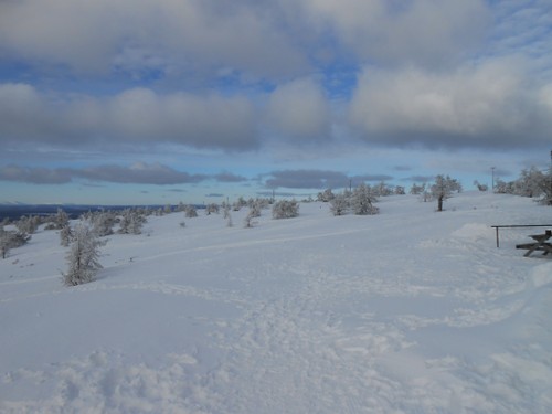 Lapland_2019_18.JPG