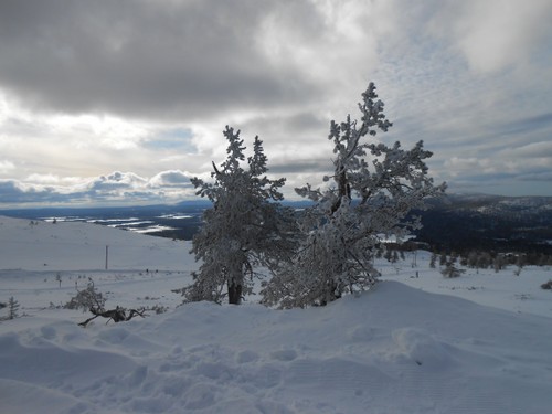 Lapland_2019_19.JPG