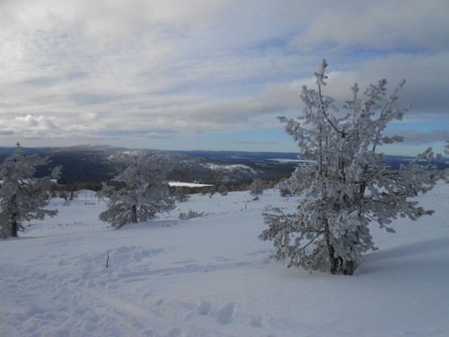 Lapland_2019_23.JPG