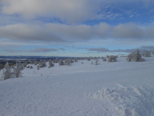 Lapland_2019_27.JPG