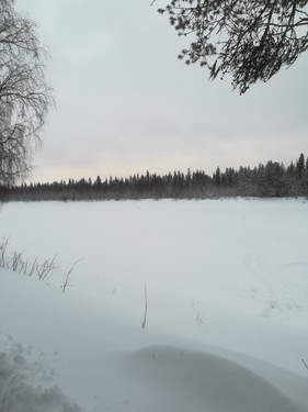 Lapland_2019_38.jpg