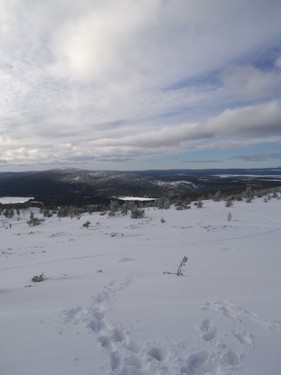 Lapland_2019_40.jpg
