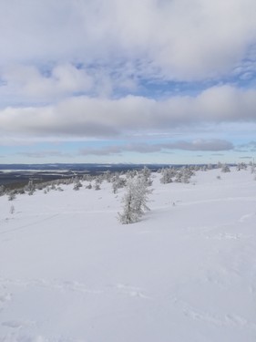 Lapland_2019_41.jpg