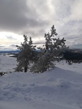 Lapland_2019_42.jpg