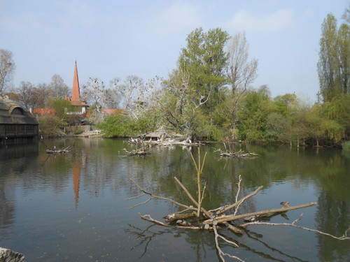 budapest_zoo_2019_005.JPG