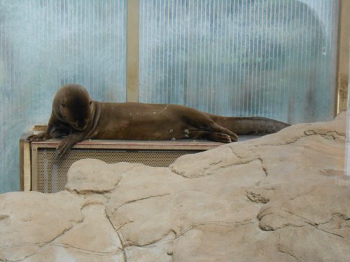 budapest_zoo_2019_010.JPG