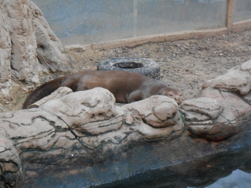 budapest_zoo_2019_011.JPG