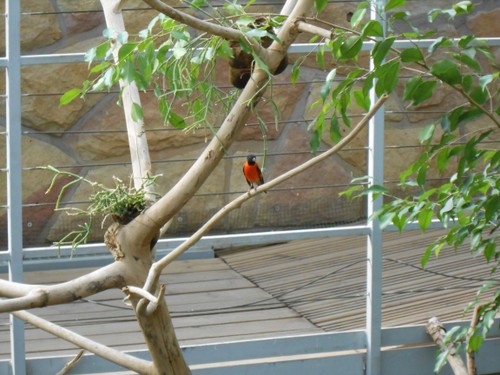 budapest_zoo_2019_012.JPG