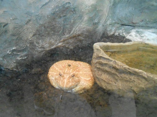 budapest_zoo_2019_014.JPG