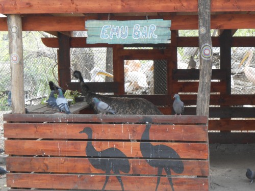 budapest_zoo_2019_018.JPG