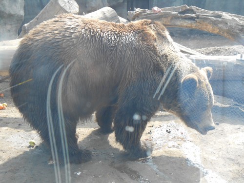budapest_zoo_2019_060.JPG