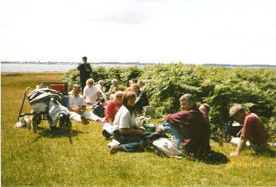 1998 Læseforeningen Romsø billedeserier_11.jpg