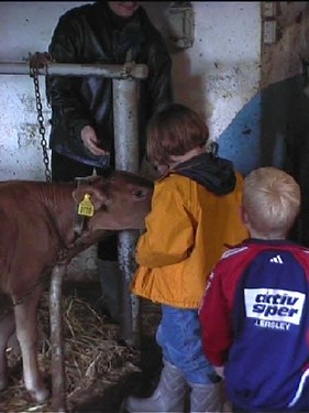 2000 dragedag billedeserier_08.jpg