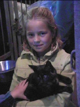 2000 dragedag billedeserier_10.jpg
