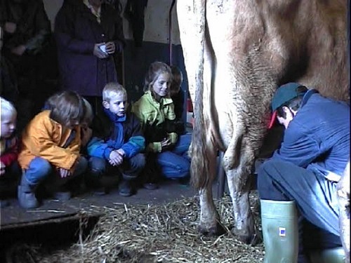 2000 dragedag billedeserier_26.jpg
