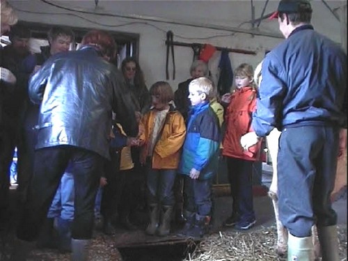 2000 dragedag billedeserier_27.jpg