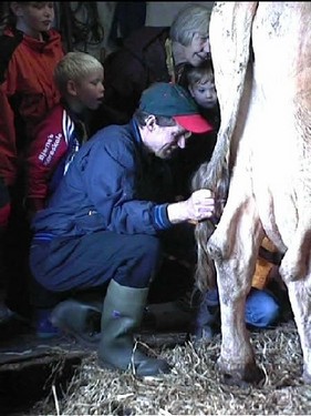 2000 dragedag billedeserier_28.jpg