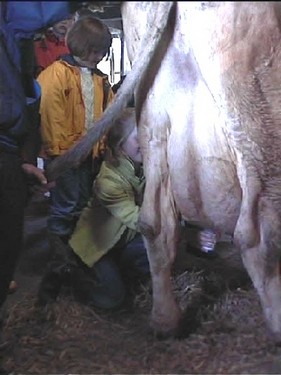 2000 dragedag billedeserier_30.jpg