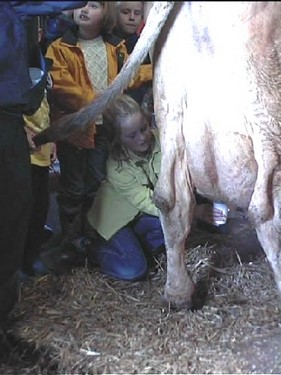 2000 dragedag billedeserier_31.jpg