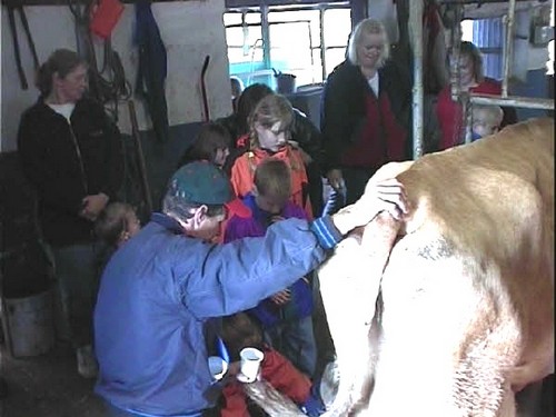 2000 dragedag billedeserier_32.jpg