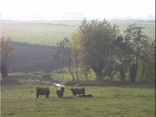 2000 dragedag billedeserier_57.jpg