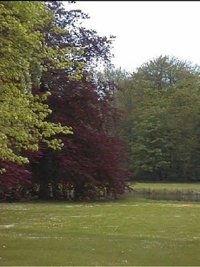 2003 Sanderumgaard billedeserier_04.jpg