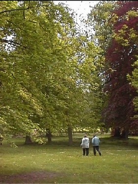 2003 Sanderumgaard billedeserier_06.jpg