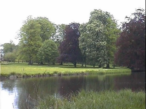 2003 Sanderumgaard billedeserier_16.jpg