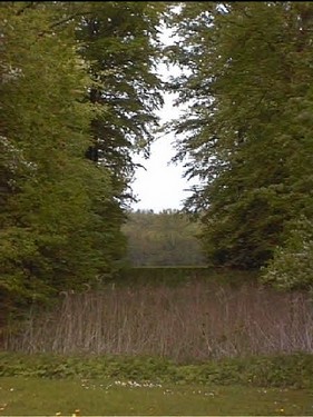 2003 Sanderumgaard billedeserier_17.jpg