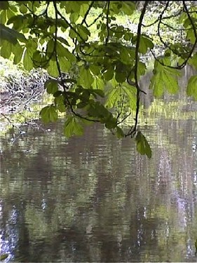 2003 Sanderumgaard billedeserier_18.jpg