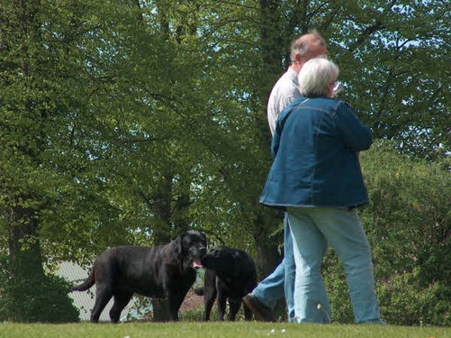 2005  Rønninge Søgaard billedeserier_23.jpg