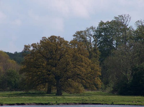 2005  Rønninge Søgaard billedeserier_24.jpg