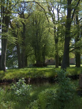 2005  Rønninge Søgaard billedeserier_26.jpg