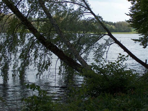 2005  Rønninge Søgaard billedeserier_28.jpg